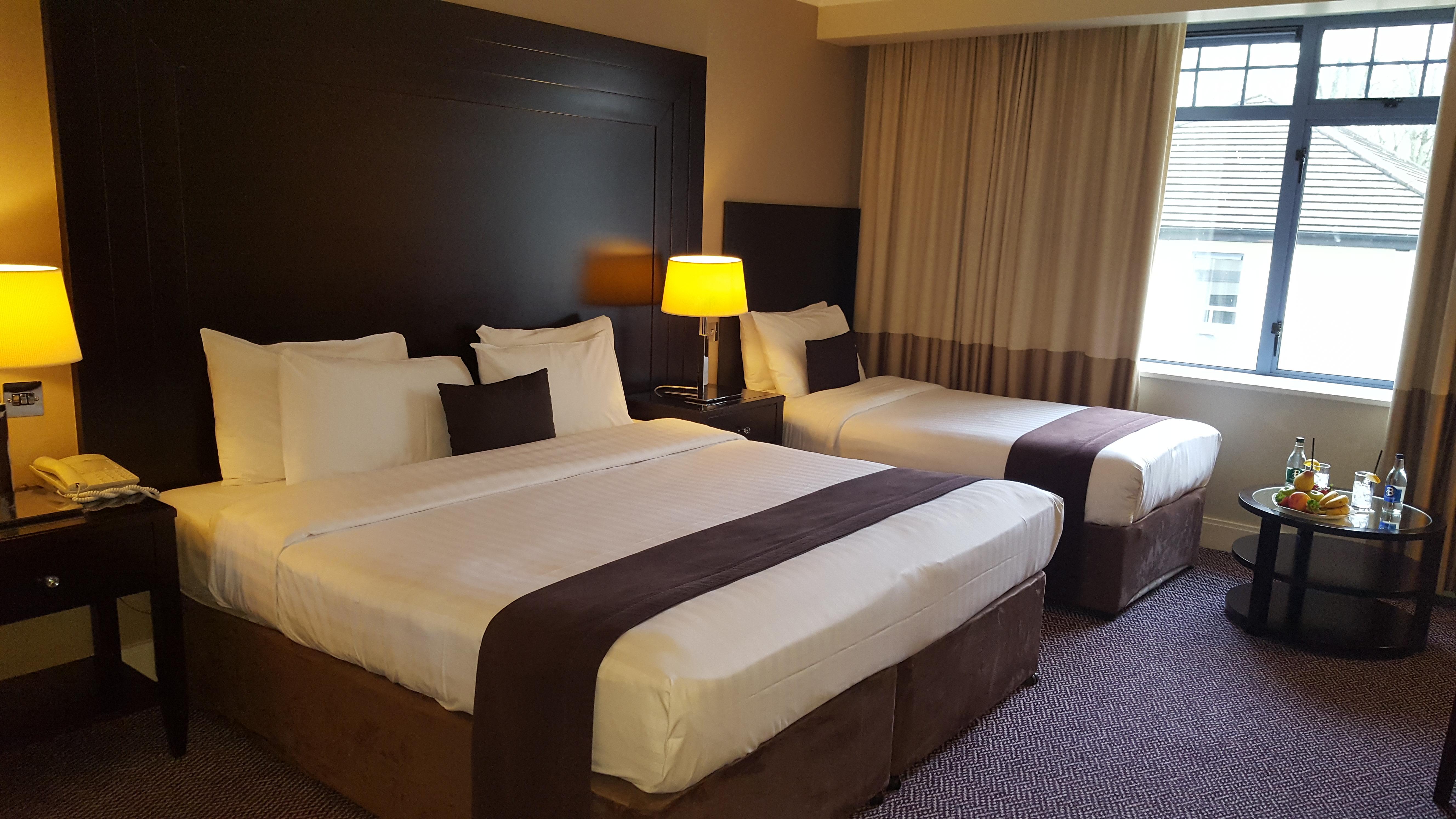 את'לון Shamrock Lodge Hotel מראה חיצוני תמונה